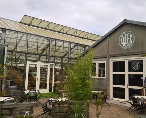 Kweekcafe haarlem