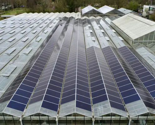 KweekZon zonnepanelen Dak Haarlem